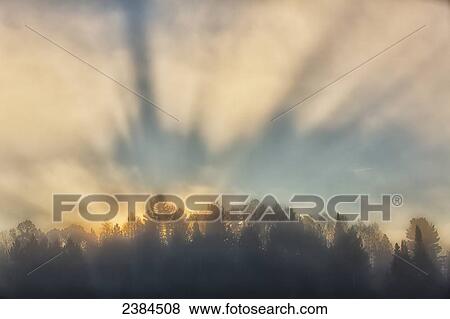 God's rays shine though the trees and morning mist in Algonquin Park; Ontario, Canada View Large Photo Image Stock Photo - God's rays shine though the trees and morning mist in Algonquin Park; Ontario, Canada. Fotosearch