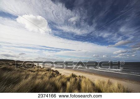 Grass blowing in the wind and sand along the water's edge; Bamburgh, Northumberland, England View Large Photo Image Stock Photograph - Grass blowing in the wind and sand along the water's edge; Bamburgh, Northumberland, England. Fotosearch