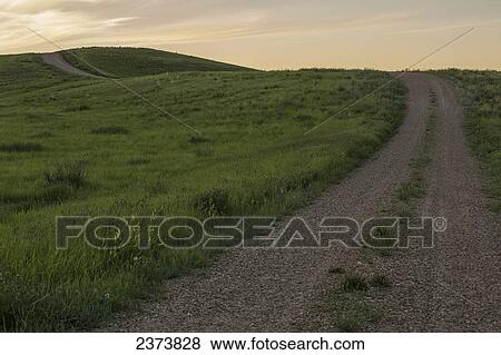 Stock Photo - Gravel road winding over hills on the prairies, Grasslands National Park; Saskatchewan, Canada. Fotosearch