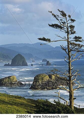 Picture - Haystack Rock viewed from Ecola Point; Cannon Beach, Oregon, United States of America. Fotosearch