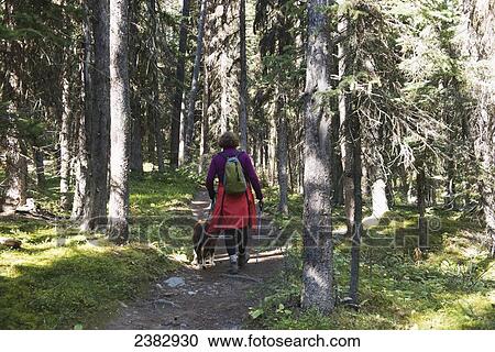 Stock Image - Hiking on a trail in Banff National Park; Alberta, Canada. Fotosearch