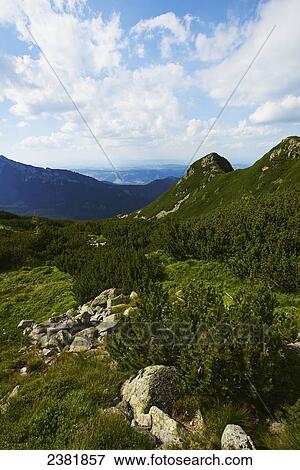 Hiking trail on Gubalowka mountain in Tatra mountains; Zakopane, Poland View Large Photo Image Stock Photo - Hiking trail on Gubalowka mountain in Tatra mountains; Zakopane, Poland. Fotosearch