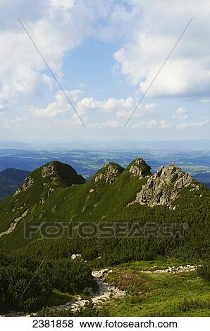 Hiking trail on Gubalowka mountain in Tatra mountains; Zakopane, Poland View Large Photo Image Stock Photo - Hiking trail on Gubalowka mountain in Tatra mountains; Zakopane, Poland. Fotosearch