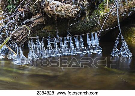 Icicles hanging from a small branch into a frozen stream; Ontario, Canada View Large Photo Image Stock Photo - Icicles hanging from a small branch into a frozen stream; Ontario, Canada. Fotosearch
