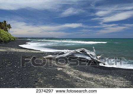 Kiholo Bay and black sand beach; Island of Hawaii, Hawaii, United States of America View Large Photo Image Stock Photo - Kiholo Bay and black sand beach; Island of Hawaii, Hawaii, United States of America. Fotosearch