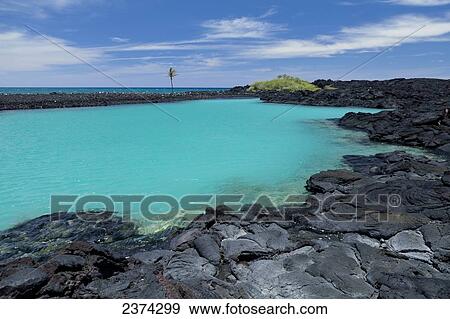 Stock Photo - Kiholo Bay and Wainanali'I Pond; Big Island, Hawaii, United States of America. Fotosearch