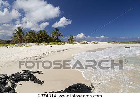Kua beach; Big Island, Hawaii, United States of America View Large Photo Image Picture - Kua beach; Big Island, Hawaii, United States of America. Fotosearch