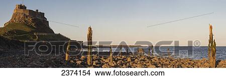 Picture - Lindisfarne Castle; Holy Island, Northumberland, England. Fotosearch