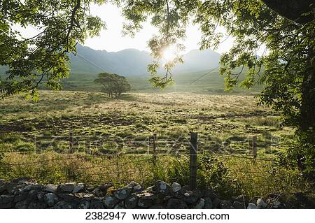 Stock Photo - Looking across a field at dawn with the ridge of the Black Cuillin behind; Glen Brittle, Isle of Skye, Scotland. Fotosearch