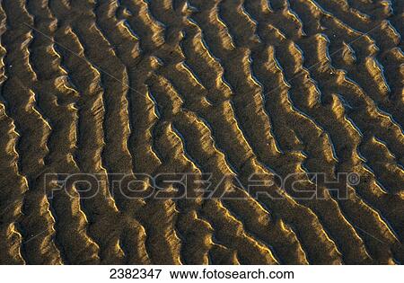 Low tide reveals patterns on the beach; Cannon Beach, Oregon, United States of America View Large Photo Image Stock Photo - Low tide reveals patterns on the beach; Cannon Beach, Oregon, United States of America. Fotosearch