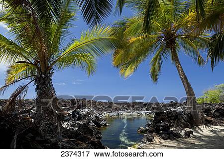 Stock Photo - Makalawena Beach in Puu AliI Bay; Big Island, Hawaii, United States of America. Fotosearch