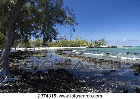 Makalawena Beach in Puu AliI Bay; Big Island, Hawaii, United States of America View Large Photo Image Stock Photography - Makalawena Beach in Puu AliI Bay; Big Island, Hawaii, United States of America. Fotosearch