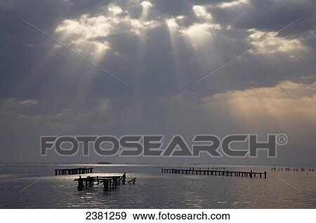 Stock Photo - Mariculture in south of Venice Lagoon; Italy. Fotosearch
