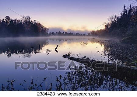 Mist over La Blanche Lake at dawn; Blanche, Outaouais region, Quebec, Canada View Large Photo Image Stock Image - Mist over La Blanche Lake at dawn; Blanche, Outaouais region, Quebec, Canada. Fotosearch