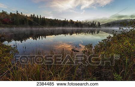 Stock Photography - Mist rising over Costello Lake at dawn, Algonquin Park; Ontario, Canada. Fotosearch