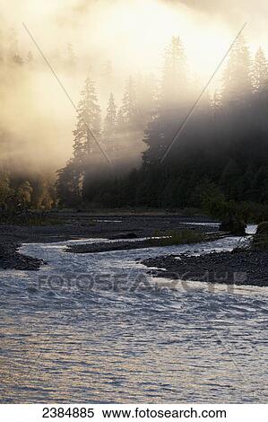 Morning mist rising over Hoh River; Washington, United States of America View Large Photo Image Stock Photography - Morning mist rising over Hoh River; Washington, United States of America. Fotosearch
