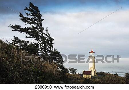 North Head Lighthouse, Cape Disappointment State Park; Ilwaco, Washington, United States of America View Large Photo Image Stock Image - North Head Lighthouse, Cape Disappointment State Park; Ilwaco, Washington, United States of America. Fotosearch
