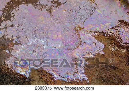 Oil and pollution spilled into the river pool into rocks of the river bed; Fort McMurray, Alberta, Canada View Large Photo Image Stock Photography - Oil and pollution spilled into the river pool into rocks of the river bed; Fort McMurray, Alberta, Canada. Fotosearch