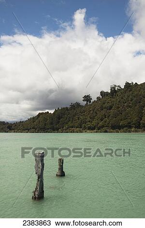 Stock Image - Okurito, West Coast; New Zealand. Fotosearch