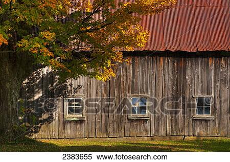 Old barn and rusty roof in autumn; Waterloo, Quebec, Canada View Large Photo Image Stock Photography - Old barn and rusty roof in autumn; Waterloo, Quebec, Canada. Fotosearch