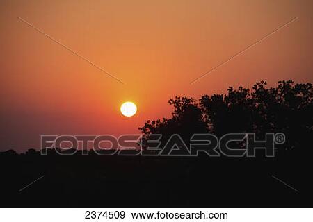 Orange sunrise with a row of dark trees; Puglia, Italy View Large Photo Image Stock Photo - Orange sunrise with a row of dark trees; Puglia, Italy. Fotosearch