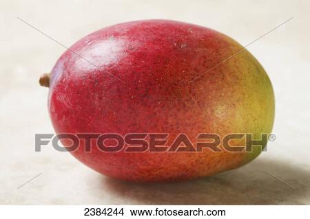 Organic mango fruit View Large Photo Image Picture - Organic mango fruit. Fotosearch