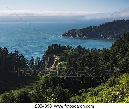 Stock Photo - Oswald West State Park along the North Oregon coast; Manzanita, Oregon, United States of America. Fotosearch
