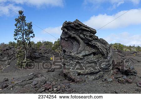 Pahoehoe lava formation; Big Island, Hawaii, United States of America View Large Photo Image Picture - Pahoehoe lava formation; Big Island, Hawaii, United States of America. Fotosearch