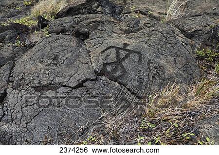 Pu'u Loa Petroglyphs; Big Island, Hawaii, United States of America View Large Photo Image Stock Photograph - Pu'u Loa Petroglyphs; Big Island, Hawaii, United States of America. Fotosearch