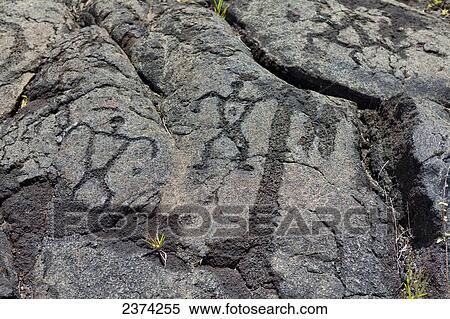 Pu'u Loa Petroglyphs; Big Island, Hawaii, United States of America View Large Photo Image Stock Photography - Pu'u Loa Petroglyphs; Big Island, Hawaii, United States of America. Fotosearch