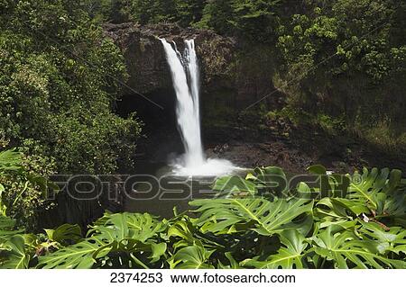 Stock Image - Rainbow Falls; Island of Hawaii, United States of America. Fotosearch