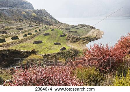 Red, blue, green and yellow colors of autumn in a meadow near Yangshan Dawan city; Tibet, China View Large Photo Image Picture - Red, blue, green and yellow colors of autumn in a meadow near Yangshan Dawan city; Tibet, China. Fotosearch
