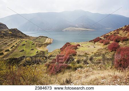 Red, blue, green and yellow colors of autumn in a meadow near Yangshan Dawan city; Tibet, China View Large Photo Image Stock Image - Red, blue, green and yellow colors of autumn in a meadow near Yangshan Dawan city; Tibet, China. Fotosearch