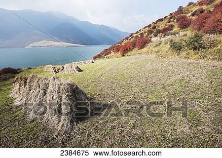 Stock Photography - Red, blue, green and yellow colors of autumn in a meadow near Yangshan Dawan city; Tibet, China. Fotosearch