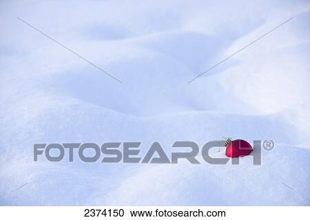Red Christmas ornament in the snow; St. Albert, Alberta, Canada View Large Photo Image Stock Image - Red Christmas ornament in the snow; St. Albert, Alberta, Canada. Fotosearch