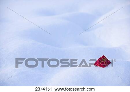 Red Christmas present in the snow; St. Albert, Alberta, Canada View Large Photo Image Stock Image - Red Christmas present in the snow; St. Albert, Alberta, Canada. Fotosearch