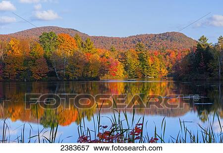 Stock Photo - Reflection of autumn coloured trees in the water; West Bolton, Quebec, Canada. Fotosearch