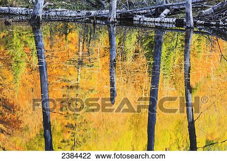 Stock Image - Reflection of autumn colours in tranquil water; Blanche, Outaouais region, Quebec, Canada. Fotosearch