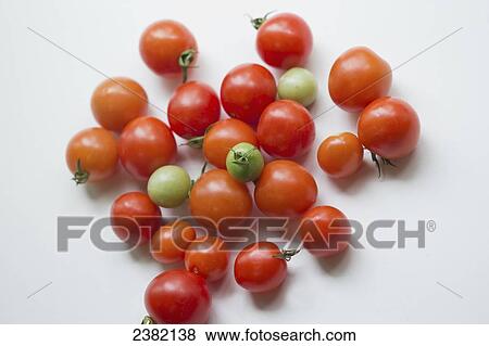Ripe Alaska grown tomatoes; Palmer, Alaska, United States of America View Large Photo Image Stock Photo - Ripe Alaska grown tomatoes; Palmer, Alaska, United States of America. Fotosearch