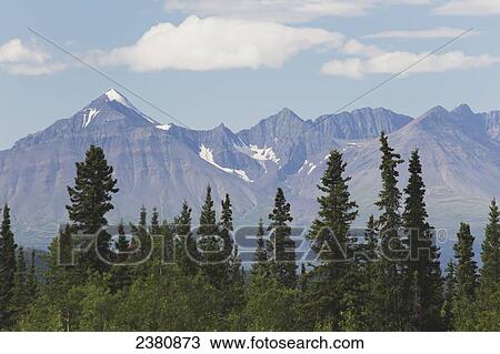 Stock Image - Rugged mountain peaks and trees of a forest; Haines Junction, Yukon, Canada. Fotosearch
