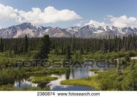 Rugged mountain range reflected in a pond with a forest in between; Haines Junction, Yukon, Canada View Large Photo Image Picture - Rugged mountain range reflected in a pond with a forest in between; Haines Junction, Yukon, Canada. Fotosearch