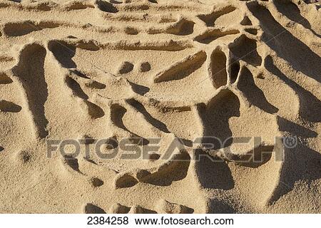 Stock Photo - Sandstone showing evidence of erosion, Headland Cove, Point Lobos State Reserve; Carmel, California, United States of America. Fotosearch