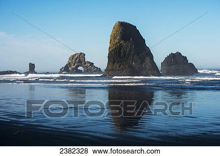 Sea stacks and arches found at Ecola State Park; Cannon Beach, Oregon, United States of America View Large Photo Image Stock Photo - Sea stacks and arches found at Ecola State Park; Cannon Beach, Oregon, United States of America. Fotosearch