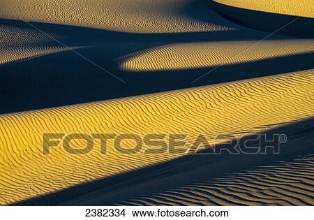 Picture - Shadows deepen on a summer evening at Oregon Dunes National Recreation Area; Lakeside, Oregon, United States of America. Fotosearch