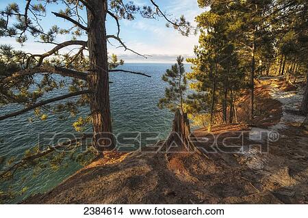 Picture - Shoreline of a lake in Northern Wisconsin; Bayfield, Wisconsin, United States of America. Fotosearch