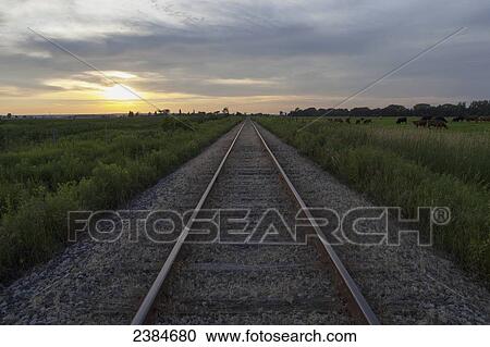 Shortline railway track at sunset; Caledon, Ontario, Canada View Large Photo Image Stock Image - Shortline railway track at sunset; Caledon, Ontario, Canada. Fotosearch