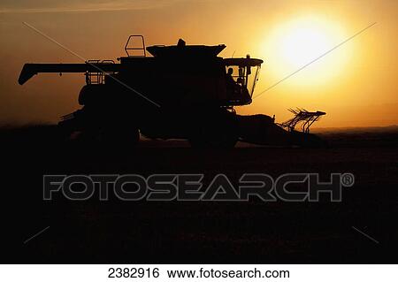 Stock Photograph - Silhouette of a combine working in a field with orange sun and sky and sunset; Airdrie, Alberta, Canada. Fotosearch