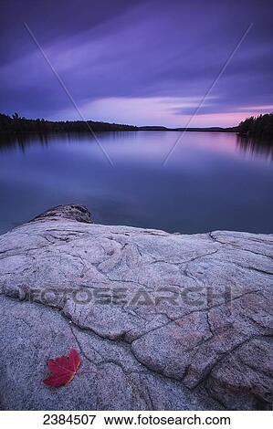 Stock Photo - Single red maple leaf on the rocky shore of Smoke Lake, Algonquin Provincial Park; Ontario, Canada. Fotosearch