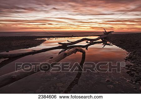 Some fallen trees in a tiny stream leading into Lake Michigan; Wisconsin, United States of America View Large Photo Image Stock Photograph - Some fallen trees in a tiny stream leading into Lake Michigan; Wisconsin, United States of America. Fotosearch