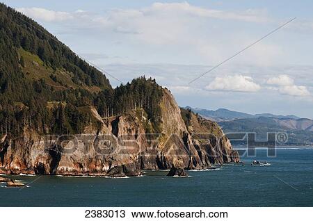 Stock Image - Spectacular cliffs are found at Oswald West State Park on the Oregon coast; Manzanita, Oregon, United States of America. Fotosearch